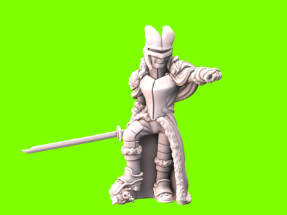 Yeld Mini: Vampire Knight